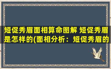 短促秀眉面相算命图解 短促秀眉是怎样的(面相分析：短促秀眉的特征和含义)